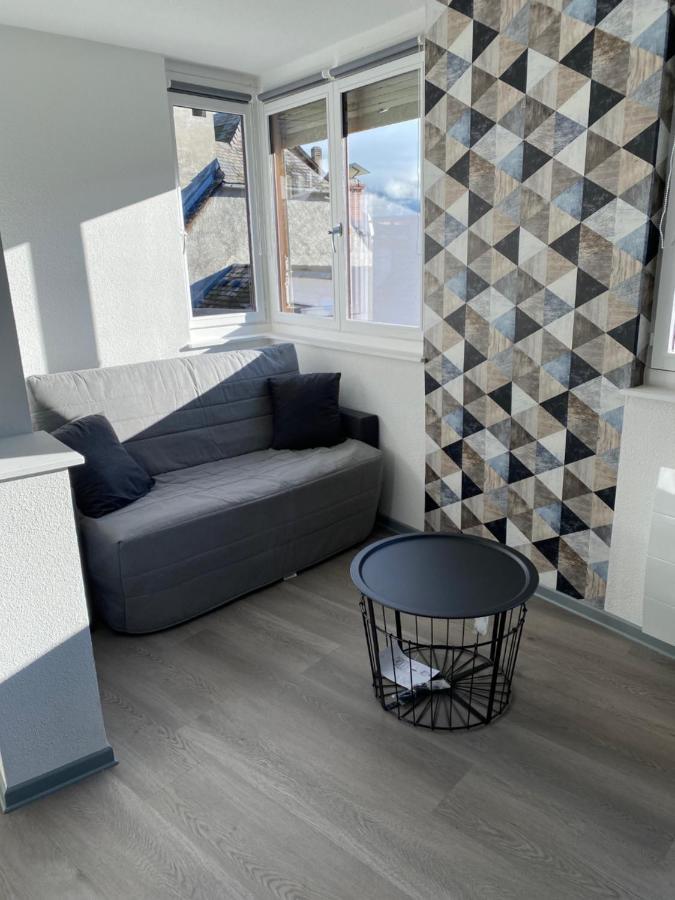 Residence Avec Un T3 Un T2 Et Un Studio En Centre Ville D ארגלס-גזוסט מראה חיצוני תמונה