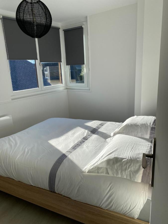 Residence Avec Un T3 Un T2 Et Un Studio En Centre Ville D ארגלס-גזוסט מראה חיצוני תמונה