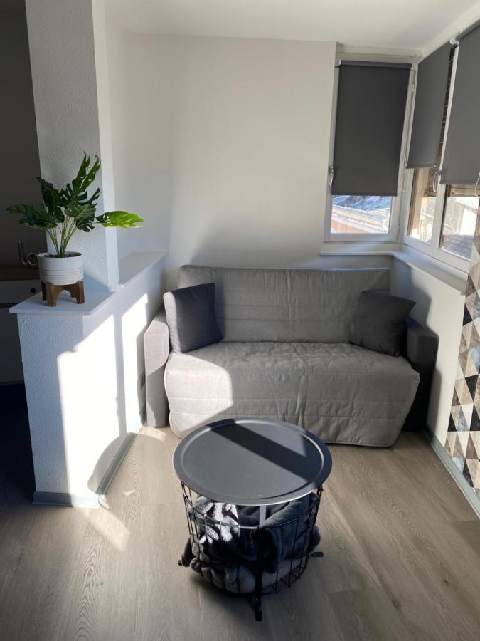 Residence Avec Un T3 Un T2 Et Un Studio En Centre Ville D ארגלס-גזוסט מראה חיצוני תמונה